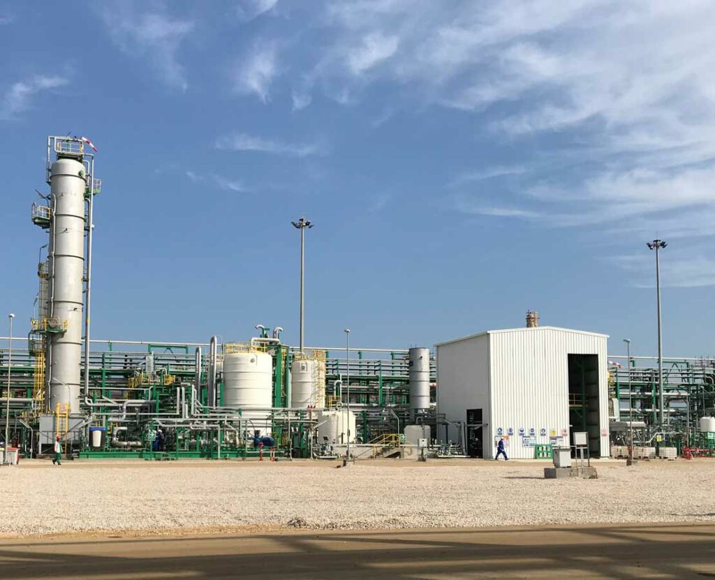 biogas process plant